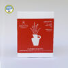 'Flowery Blooming' gift box - Image 3