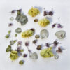 Vivid Wonders - Image 2