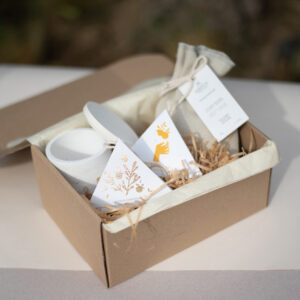 wellness giftbox