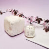flower blossom candle 1