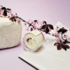 flower blossom candle