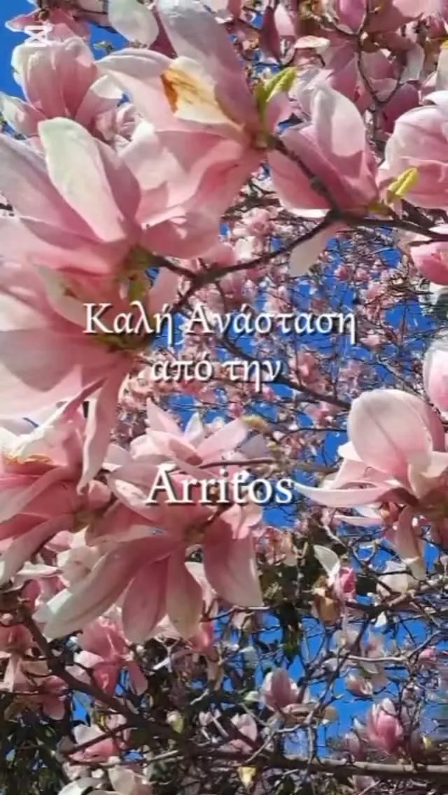 Καλή Ανάσταση 
.
#arritos_experience #arritos #herbal #tea #organic #easter
